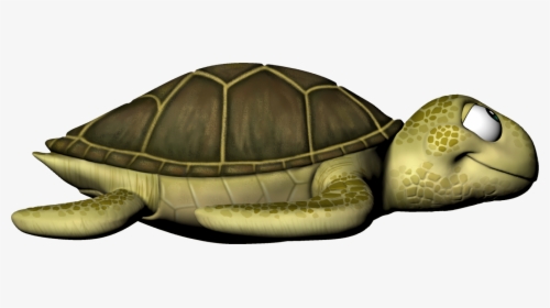 Painted Turtle, HD Png Download, Free Download