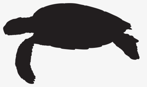 Tortoise Clipart Silhouette - Sea Turtle Silhouette Clip Art, HD Png Download, Free Download