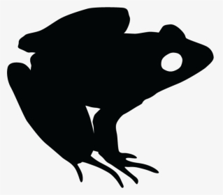 Northern Leopard Frog Silhouette Png, Transparent Png, Free Download
