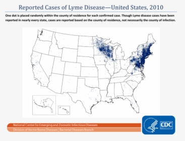 Reported Cases Of Lyme Disease 2010 - Reported Cases Of Lyme Disease, HD Png Download, Free Download