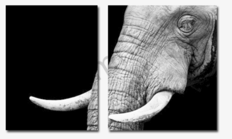 Elephant Png Example Drop Shadow - Éléphants Noir Et Blanc, Transparent Png, Free Download