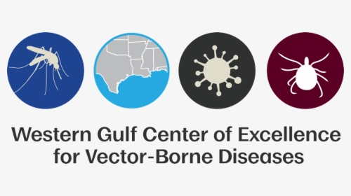 Western Gulf Center Of Excellence For Vector-borne - Circle, HD Png Download, Free Download