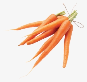 Transparent Vegetable Garden Png - Carrot, Png Download, Free Download