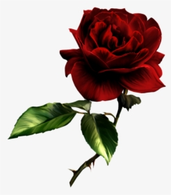 Beautiful Clipart Red Rose - Deep Red Rose Png, Transparent Png, Free Download