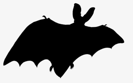 Halloween Bat With Red Eyes Png - Bat Shadow Png, Transparent Png, Free Download