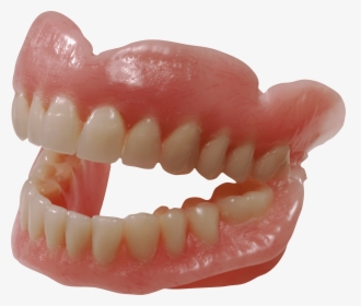 Teeth - Teeth Png, Transparent Png, Free Download
