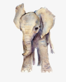 Thumb Image - Baby Animals Watercolor Png, Transparent Png, Free Download