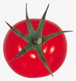 Red Tomatoes Png Image - Помидор На Прозрачном Фоне Гифка, Transparent Png, Free Download