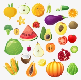 Fruit Vegetable Illustration Cartoon - Fruits Vegetable Drawing, HD Png Download, Free Download