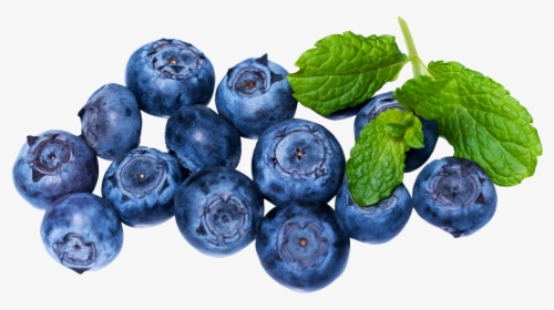 Blueberries Png - Blue Berry Png, Transparent Png, Free Download