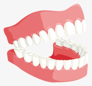 Teeth, Dentist, Mouth, Dentistry, Tooth, Care, Dental - Teeth Dental Png, Transparent Png, Free Download