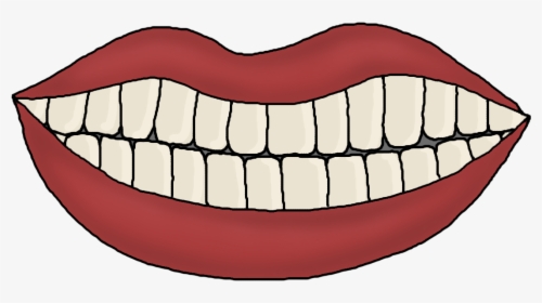 Cartoon Pictures Of Teeth - Teeth Template For Preschool, HD Png Download, Free Download