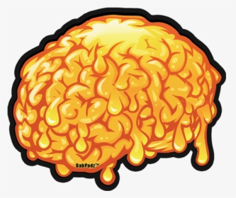 Orange,brain,clip Art,illustration,dish - Dab Brain, HD Png Download, Free Download