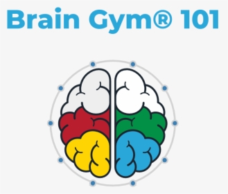 Optimal Brain Organization Clipart , Png Download - Brain Gym 101, Transparent Png, Free Download