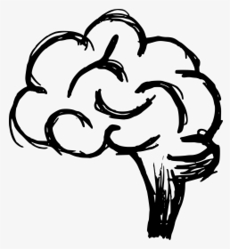 Brain Clipart Png Format - Brain Drawing Png, Transparent Png, Free Download