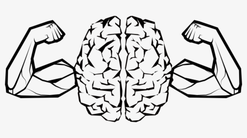 Art,symmetry,monochrome Photography - Brain With Muscles Black And White, HD Png Download, Free Download