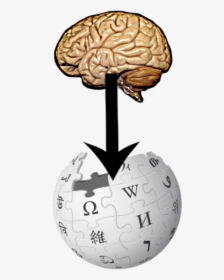 From Brain To Wikipedia - Wikipedia Logo, HD Png Download, Free Download