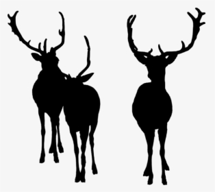Deer Bucks Deersilhouette Silhouette - Elk, HD Png Download, Free Download