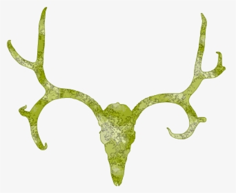 Skull Antlers Cliparts - Deer, HD Png Download, Free Download