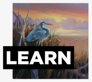 Learns, HD Png Download, Free Download