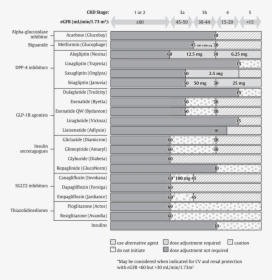Diabetes Medications Renal Function Chart, HD Png Download, Free Download