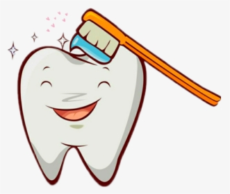 #higiene #diente #feliz #sonreir #kiwi #lindo #sticker - Como Cuidar Nuestros Dientes, HD Png Download, Free Download
