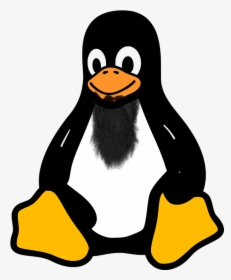 Linux Penguin Clipart, HD Png Download, Free Download