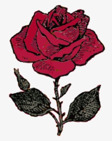 Rose Illustration , Png Download - Blue Rose Drawing Png, Transparent Png, Free Download