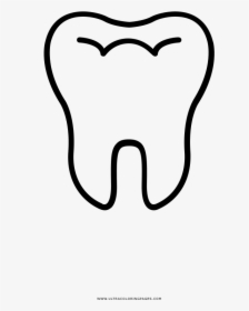 Tooth Coloring Page - Diente Para Colorear, HD Png Download, Free Download