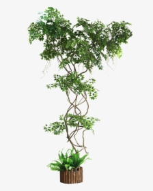 Ginkgo Fake Branch Simulation Leaves Balcony Package - Fake Tree Png, Transparent Png, Free Download