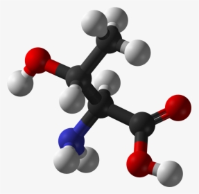 L Threonine 3d Balls Ball And Stick Model Of The L - Threonine Model Or Structure, HD Png Download, Free Download