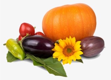 Thanksgiving Pumpkin Png Image - Fruit And Vegetables Free Transparent Background, Png Download, Free Download