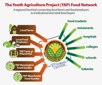 Yap Food Network Chart - Food And Agriculture Chart, HD Png Download, Free Download