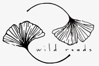 Edc Wild Roads - Drawing, HD Png Download, Free Download