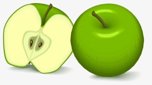 Plant,apple,granny Smith - Flashcard Apples, HD Png Download, Free Download