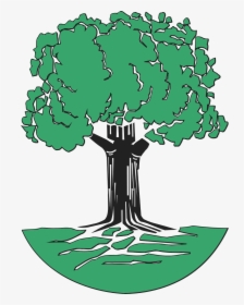 Oak Tree Clip Art, HD Png Download, Free Download