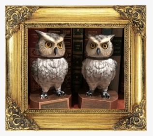 Owltrophy1 - Picture Frame, HD Png Download, Free Download
