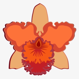 Plant,flower,peach - Orchids, HD Png Download, Free Download