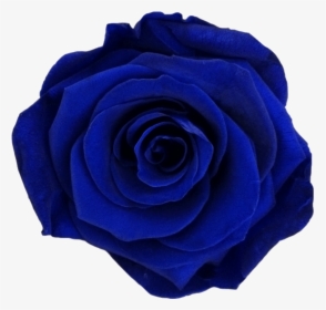 Dark Blue Flower Png , Png Download - Blue Rose, Transparent Png, Free Download