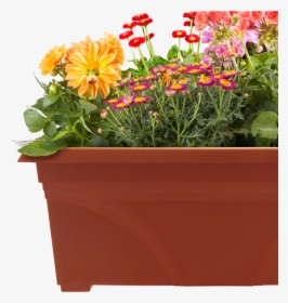 Maintain Your Container Garden - Flower Pots Images Png, Transparent Png, Free Download