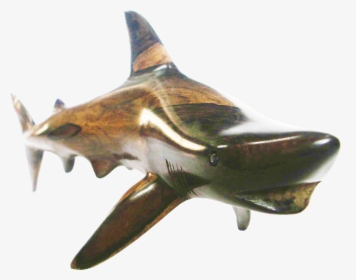 Blacktip Shark M - Bronze Hammerhead Shark, HD Png Download, Free Download