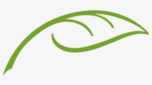 Nvsd Leaf Oct12 2018, HD Png Download, Free Download