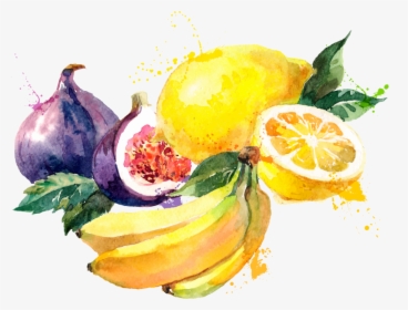Kisspng Watercolor Painting Common Fig Drawing Illustratio, Transparent Png, Free Download