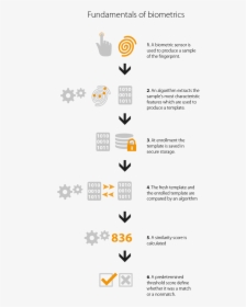 Biometric Algorithm, HD Png Download, Free Download