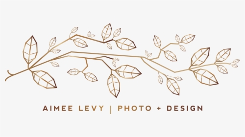 Drawing, HD Png Download, Free Download
