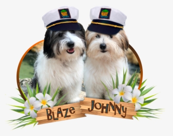 Blaze And Johnny, HD Png Download, Free Download