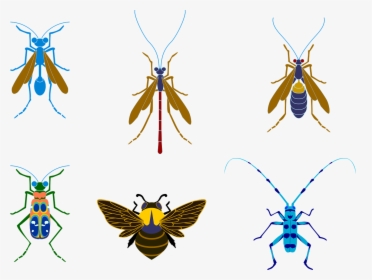 Bee, HD Png Download, Free Download