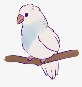 Clipart Freeuse Birb Drawing - Budgie, HD Png Download, Free Download