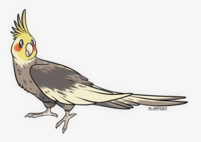 I Drew A Birb - Cockatiel, HD Png Download, Free Download