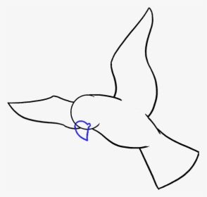 How To Draw Bird - Drawing Of Bird, HD Png Download - kindpng